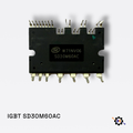 IGBT SD30M60AC